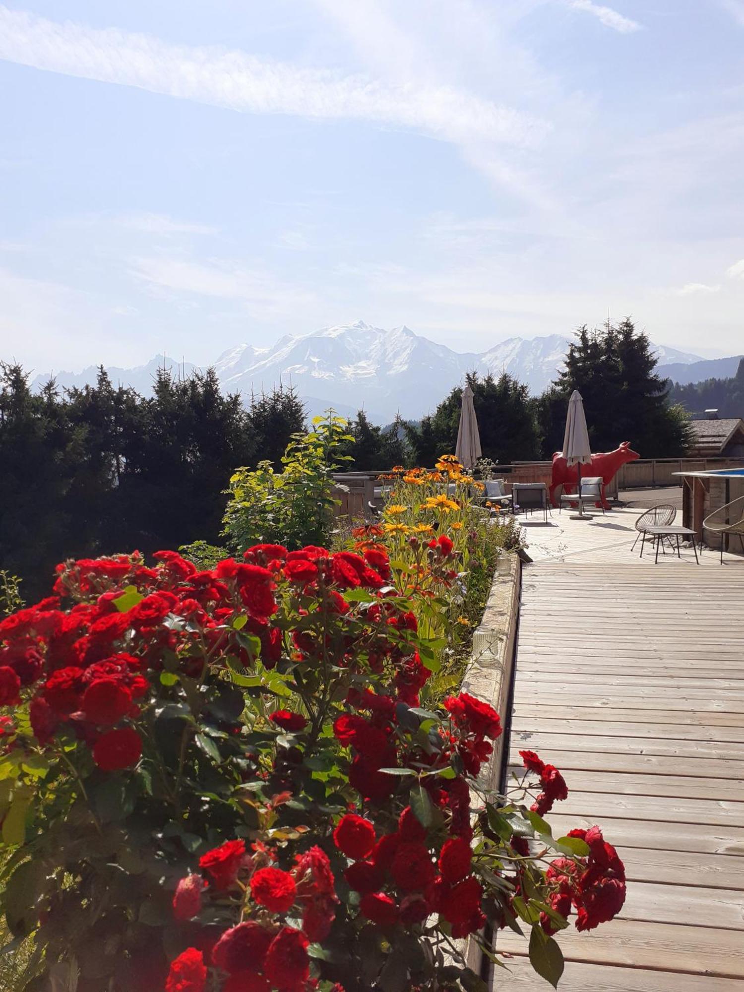 Chalet Les Rhodos Cordon Eksteriør billede